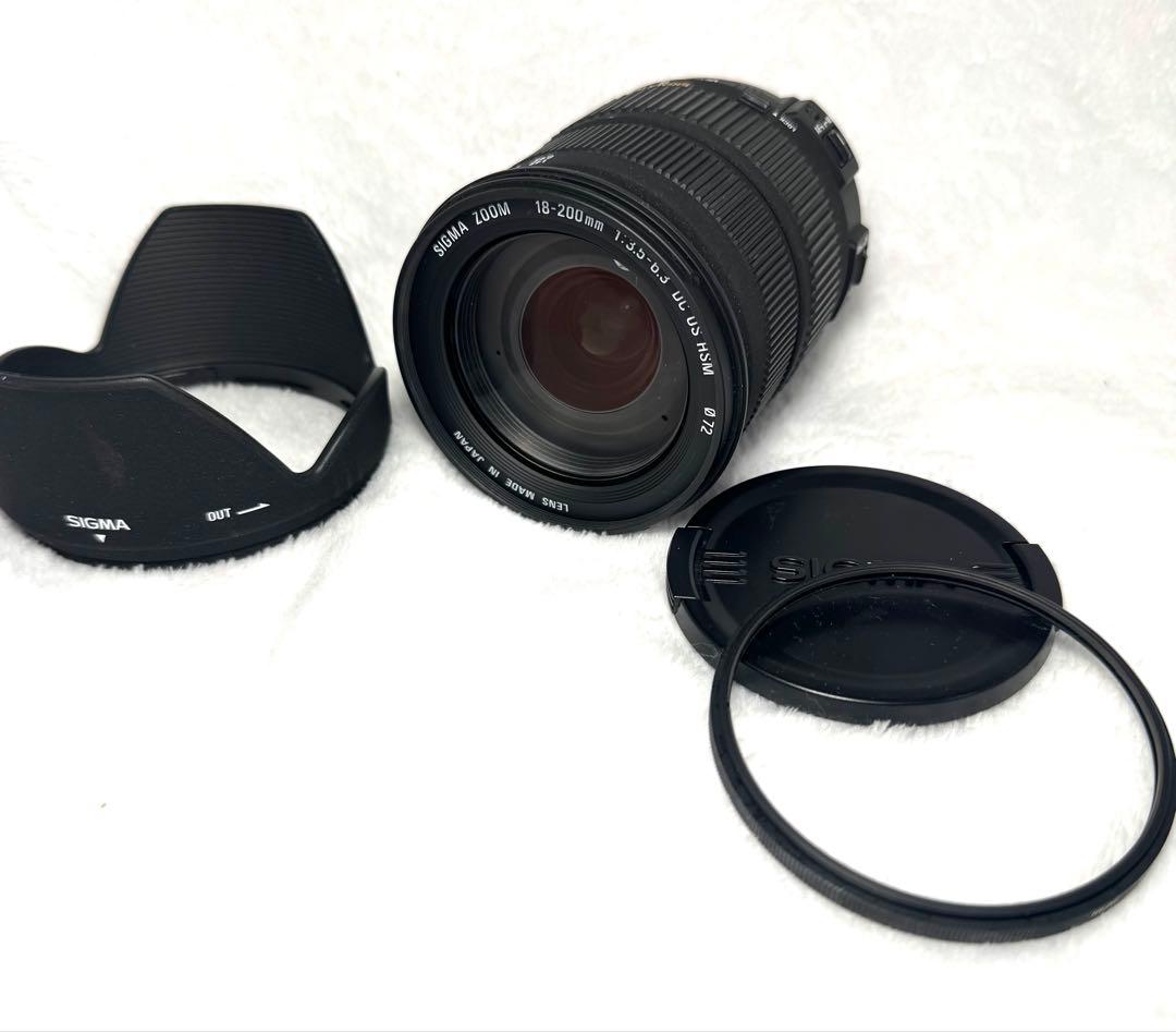 Sigma 18-200mm F3.5-6.3レンズ #2954-2