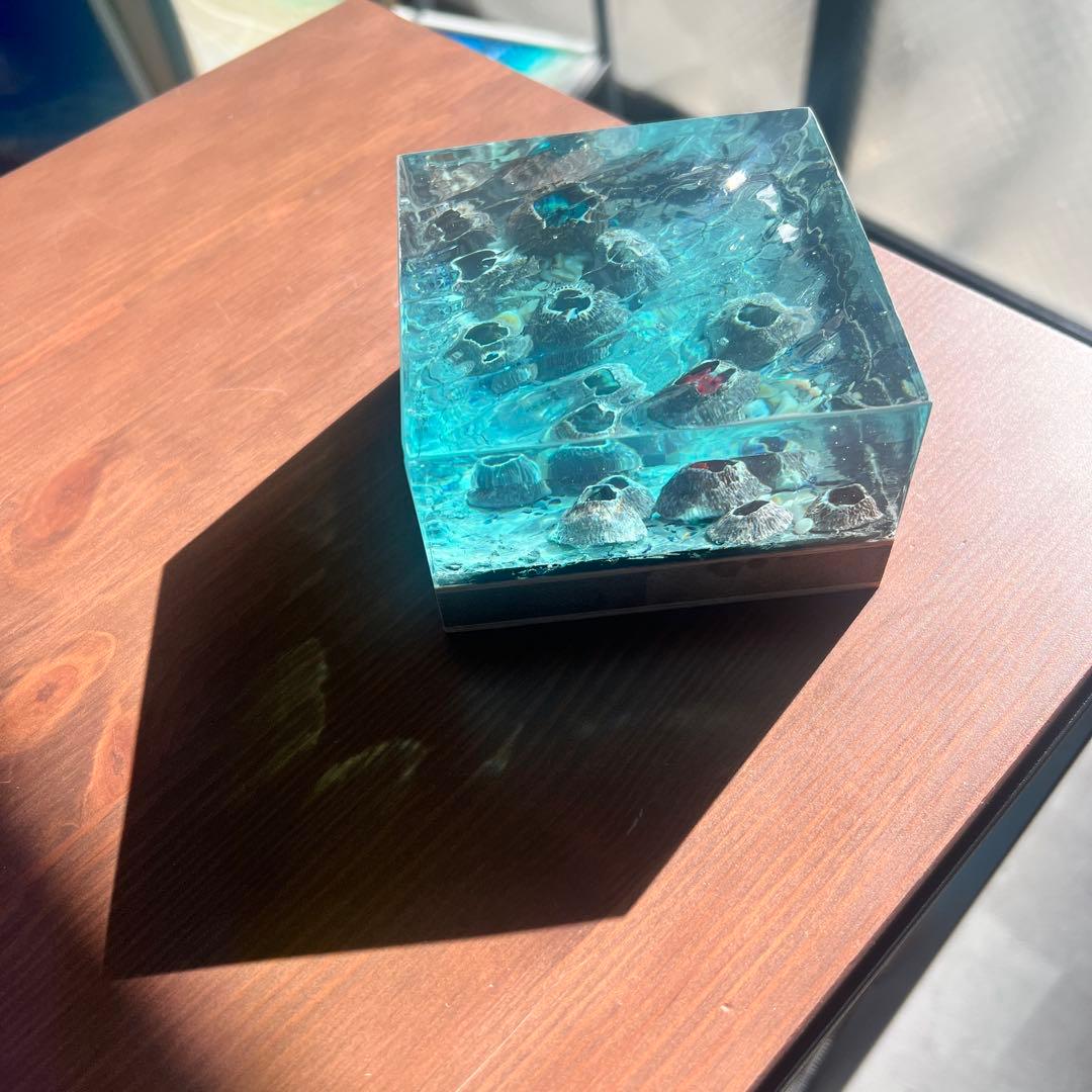 【波紋アート】フジツボアート／barnacle／オブジェ／10cmプリズム