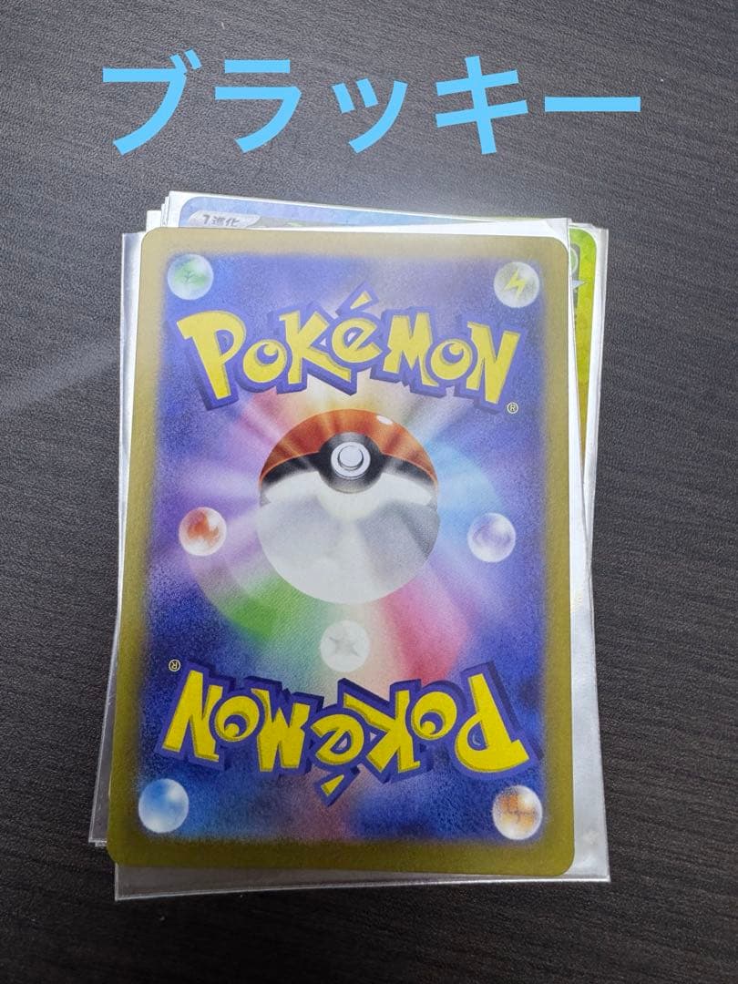 ブイズ　SAR テラスタルフェスex