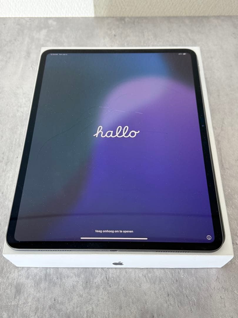 iPad Pro 13インチ 256GB 2024年 MVX23J/A