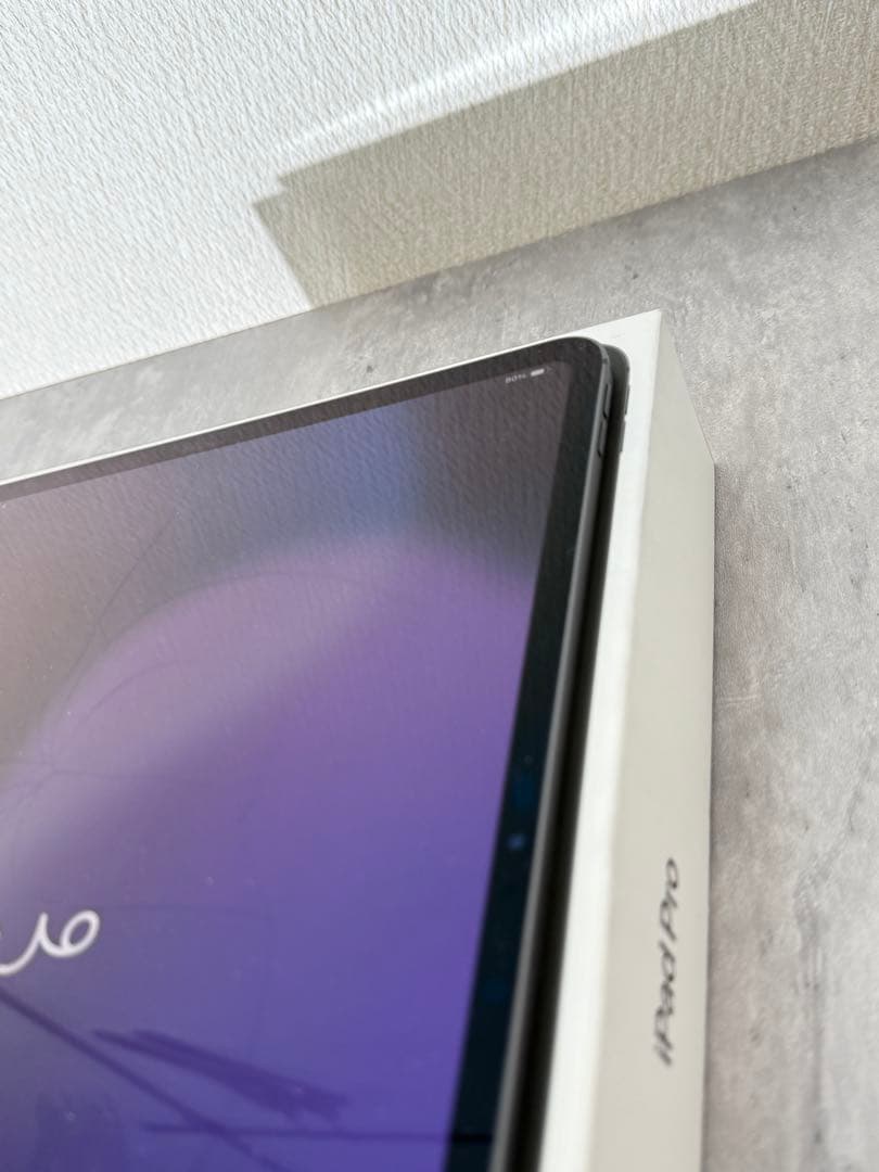 iPad Pro 13インチ 256GB 2024年 MVX23J/A