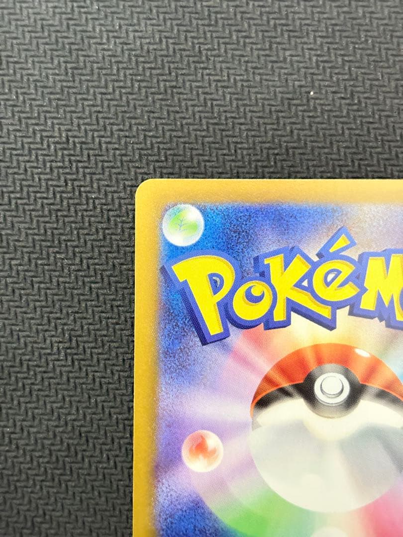 メイのはげまし　SAR