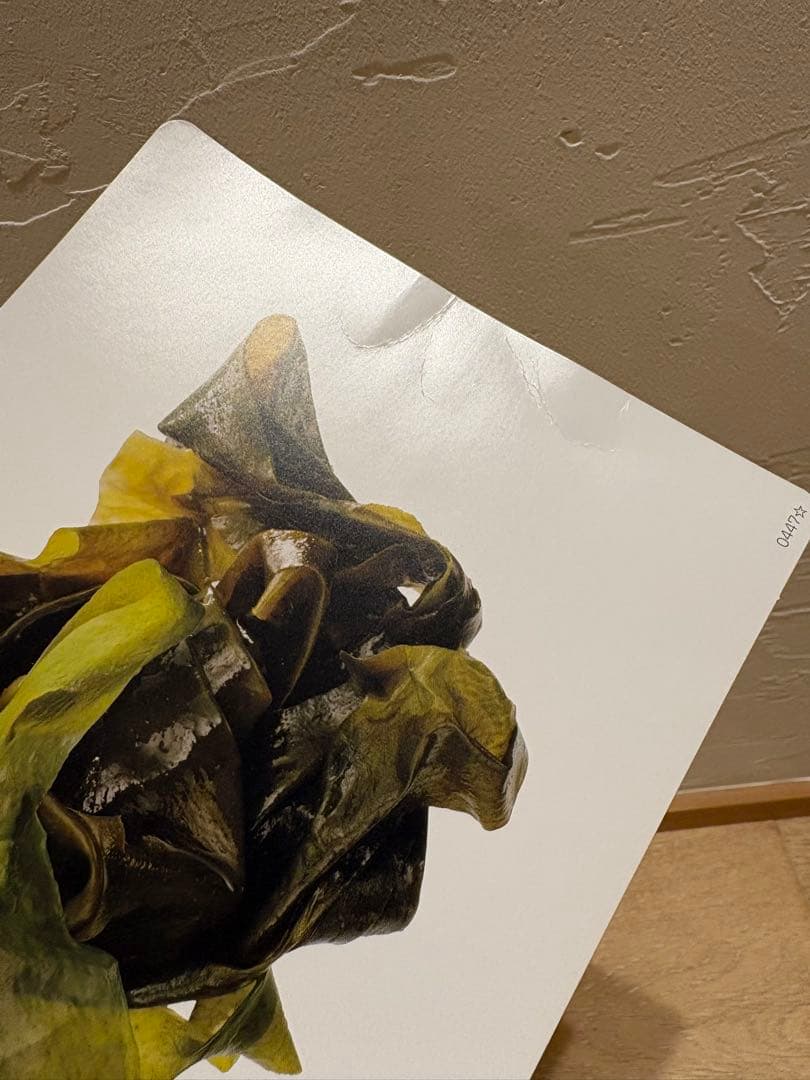 かな絵ちゃん A