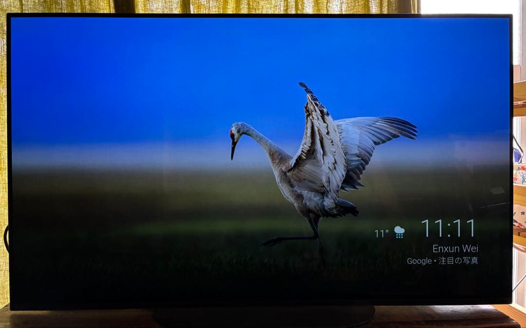 SONY BRAVIA 48V型4K 有機ELテレビKJ-48A9S