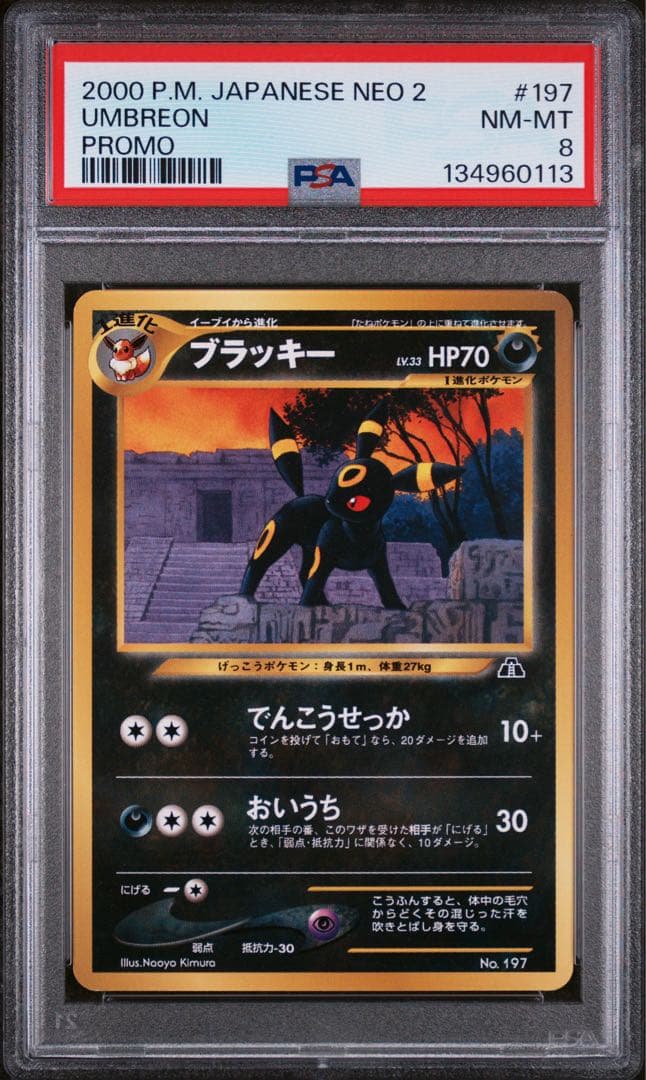 ブラッキー 旧裏 プレミアムファイル2 プロモ PSA8 ポケモンカード