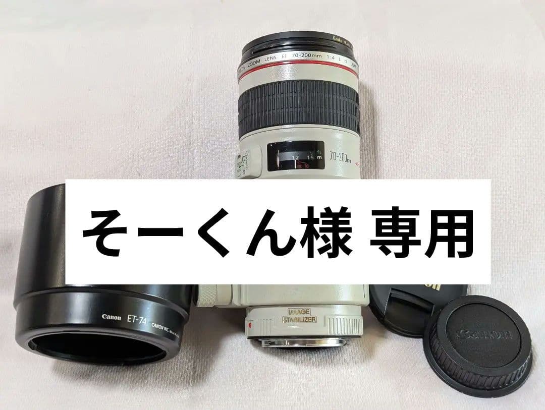 Canon EF70-200mm F4L USM キャノン用