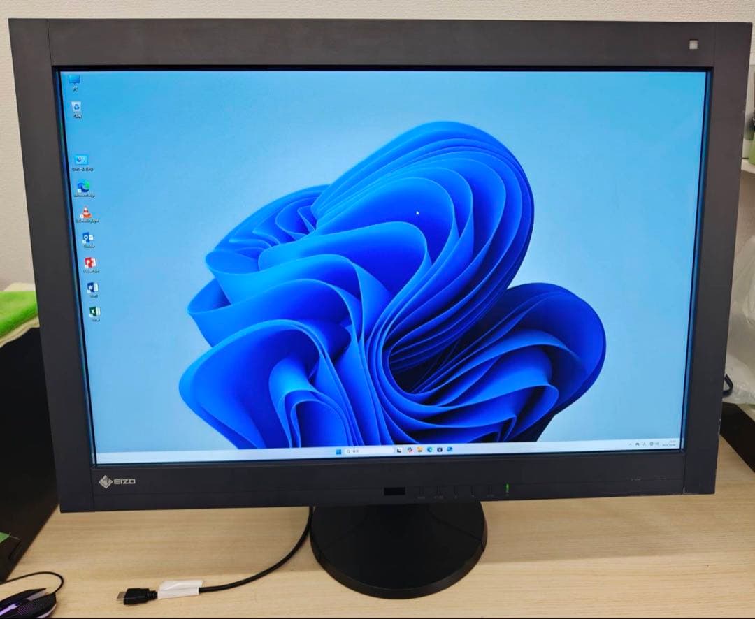 EIZO RadiForce RX440 29.8型液晶モニ　WQXGA