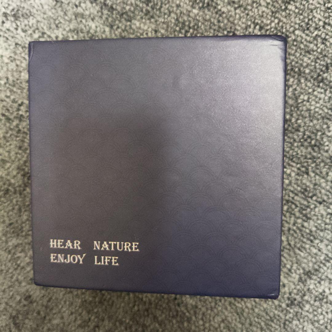 集音器 デジタル 信号処理 USB充電式 小型軽量 両耳対応