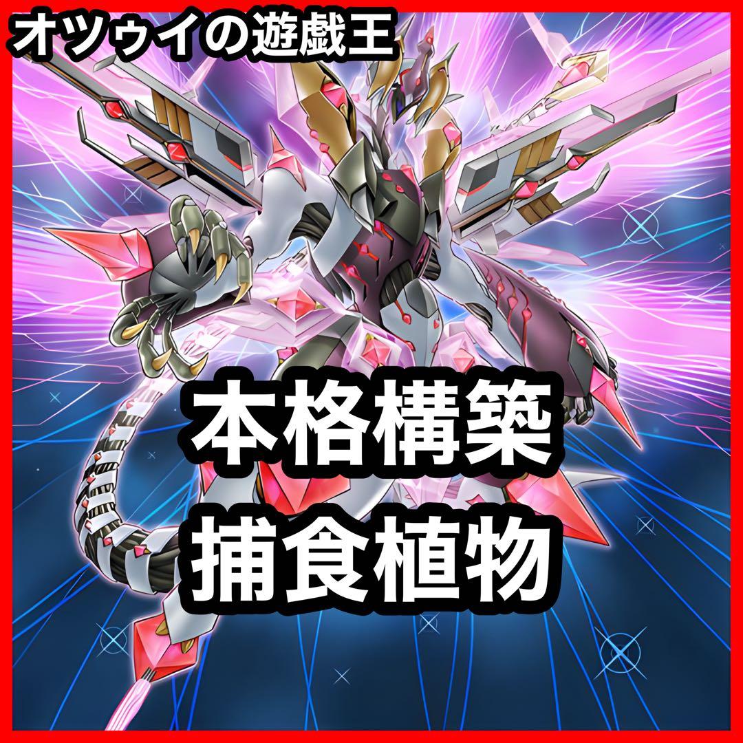 本格構築 捕食植物デッキ プレデタープランツデッキ 血樹竜姫ドラセリア