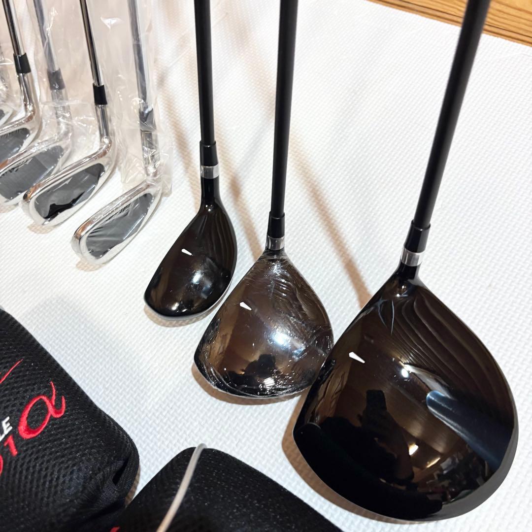 【美品】ワールドイーグル メンズ ゴルフクラブセット 10本 レフティ 左利き