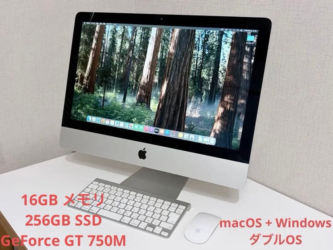 Macデスクトップ Apple iMac 21.5 Late 2013 macOS+Windows