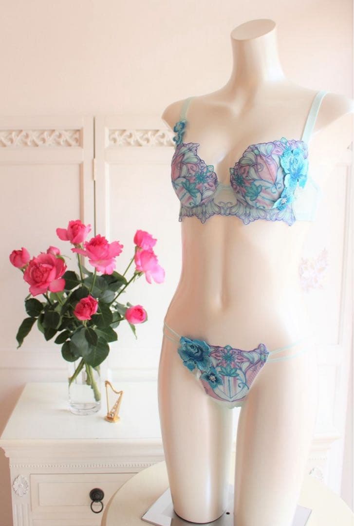 ワコール/サルート 61グループ 新品タグ付 P-upブラTバック E70