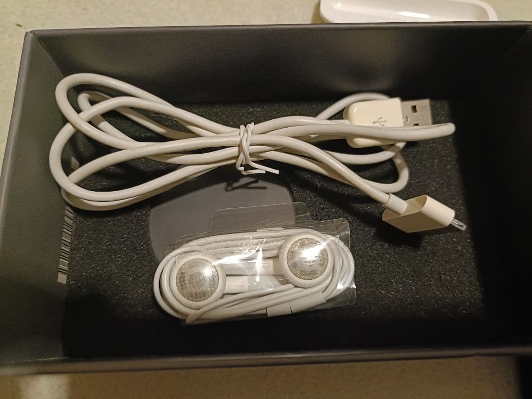 Apple iPod Classic 80GB アップル　アイポッド