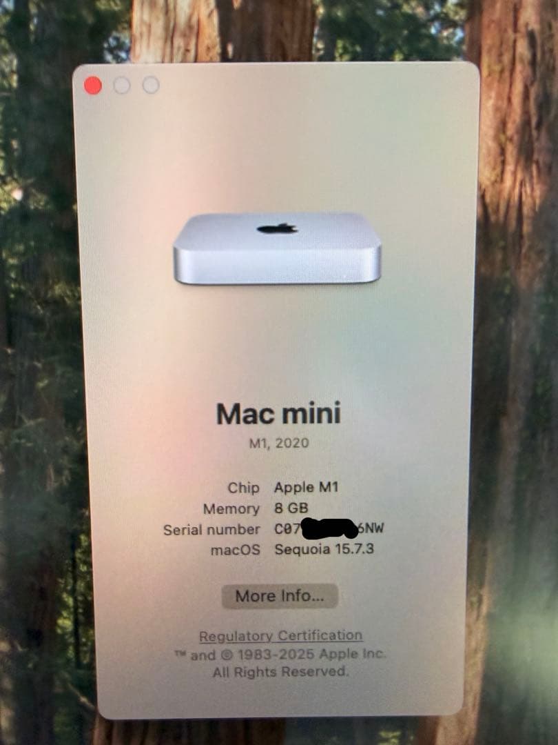 Apple Mac mini(2020)　M1 8GB シルバー