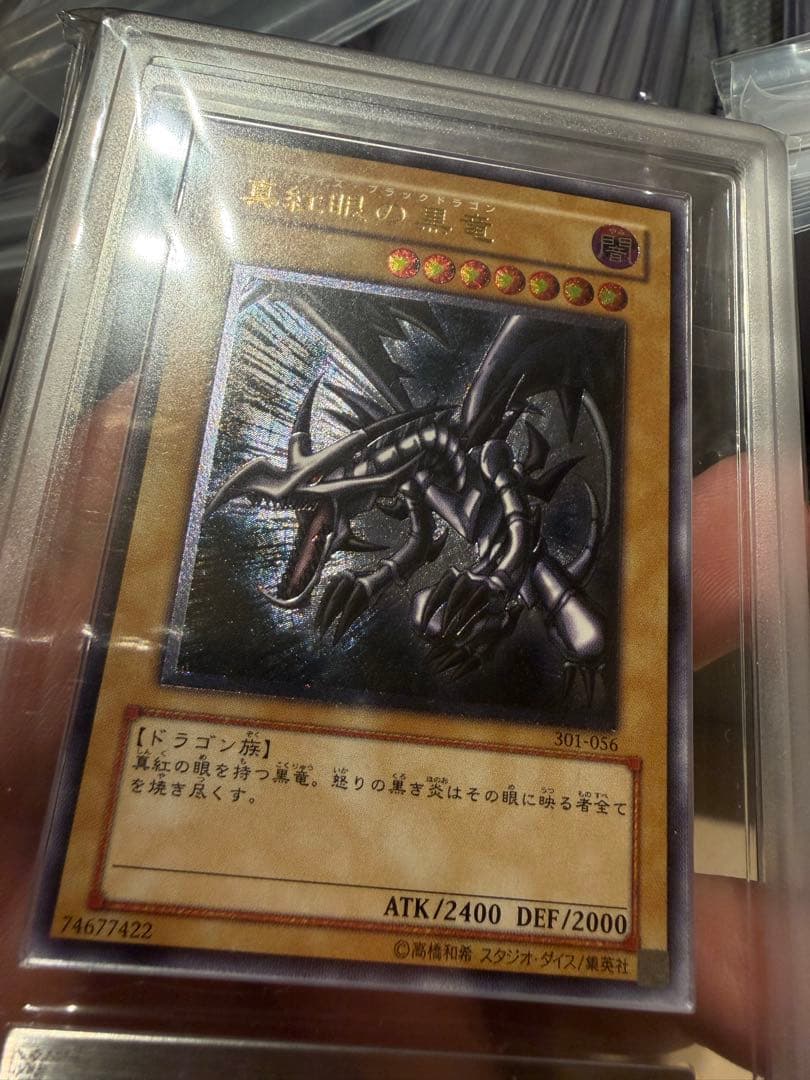 真紅眼の黒竜 親知らず　レリーフ　ars10 鑑定書付