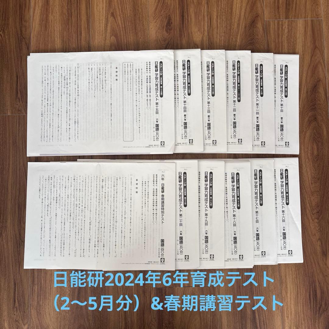 n*u様 日能研2024年 6年育成テスト&春期講習テスト