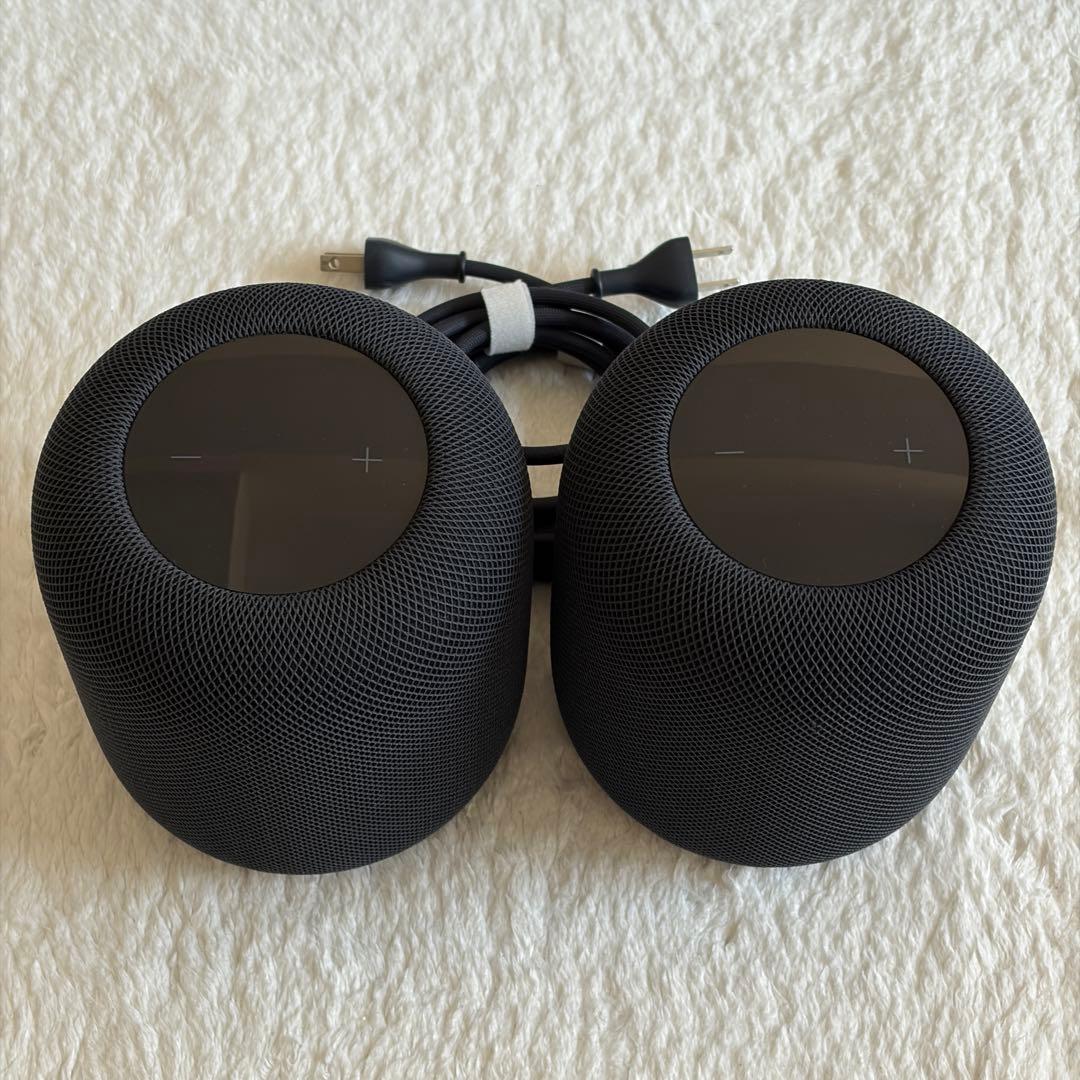 Apple Pod 第二世代 2個セット