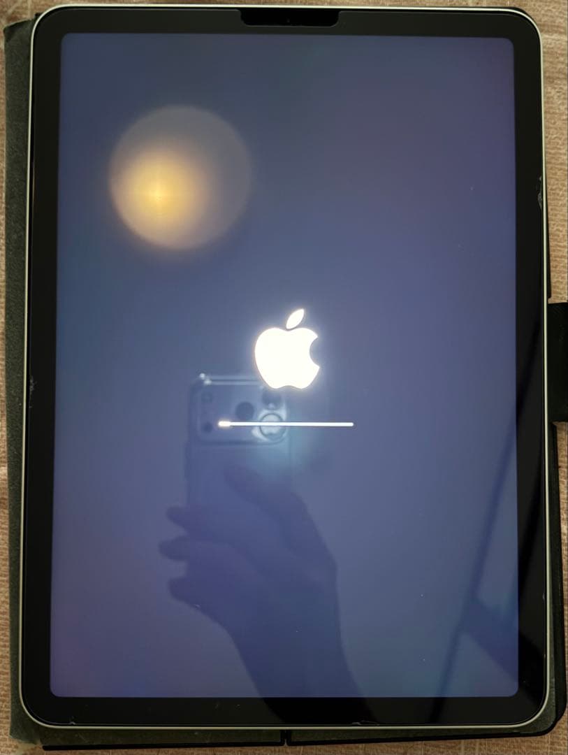 【指紋認証不可】Apple iPad Air (第4世代) 256GB