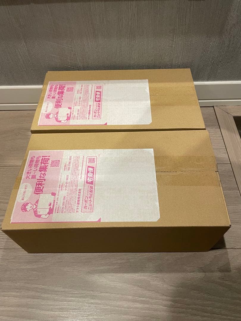 【新品未開封シュリンク付】スペシャルBOXポケモンセンターヒロシマ➕ヒカリsar