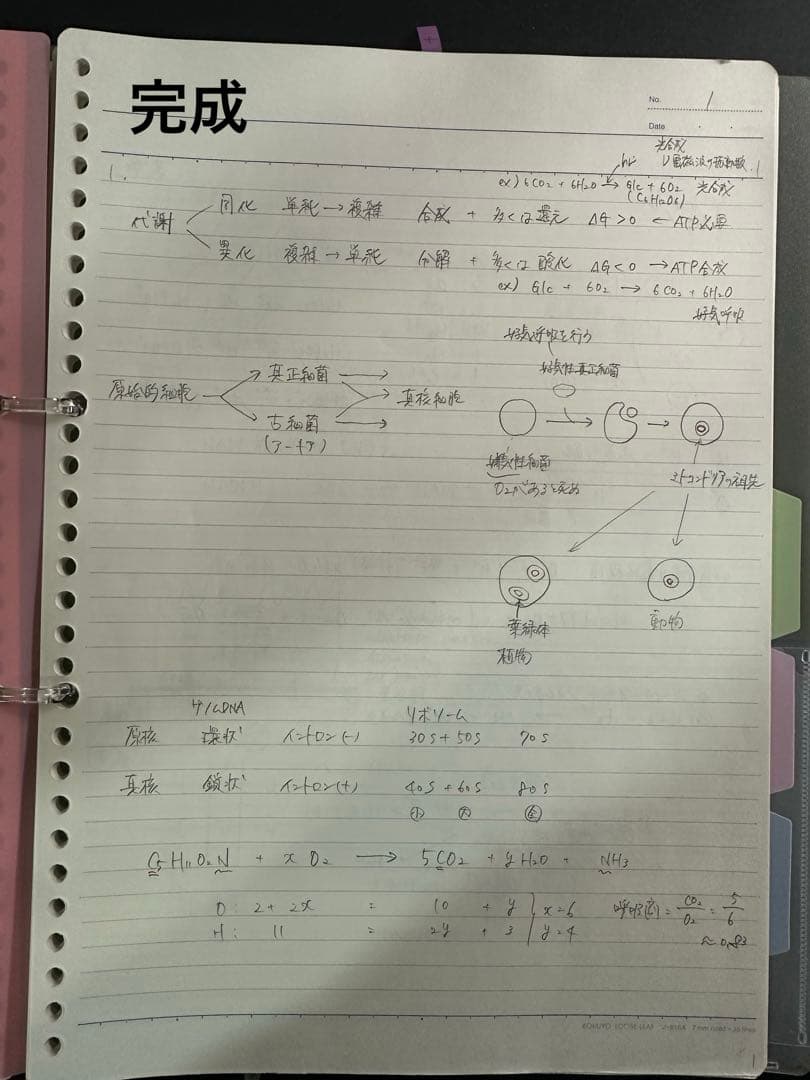 【生命科学フルセット】KALS医学部学士編入生命科学テキスト模試テスト
