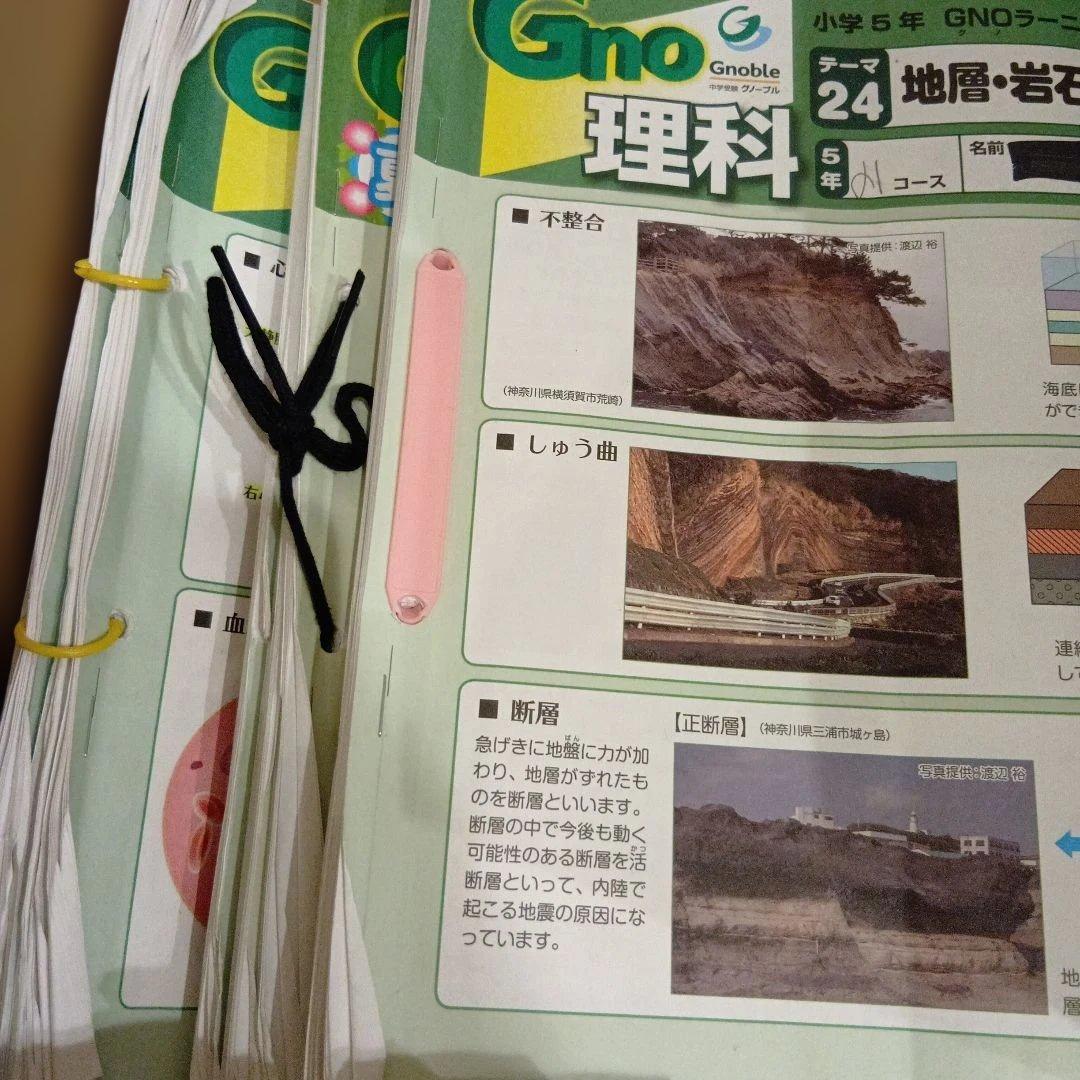 【専用です】グノーブル テキスト プリント 理科 ５年