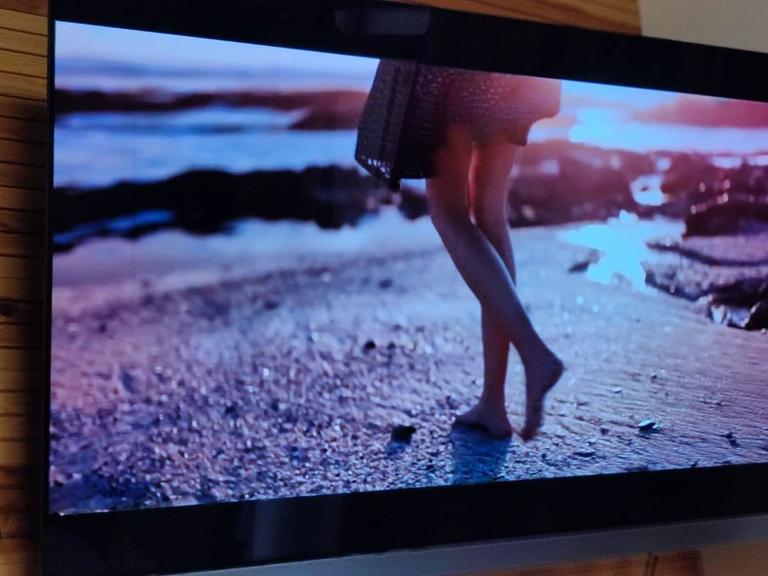 東芝　REGZA　4K有機ELテレビ　 21年 タイムシフトマシン搭載 HDD付