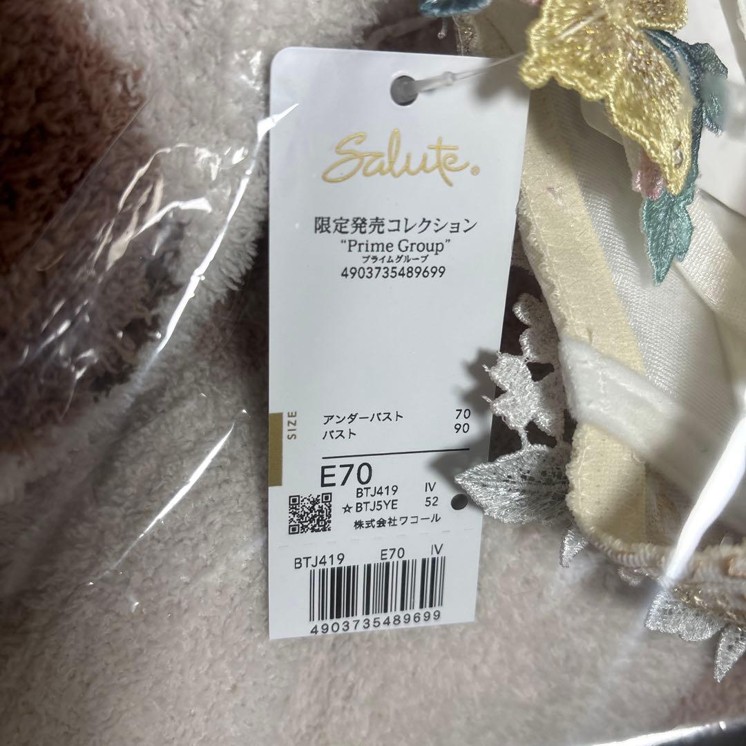 Salute 花柄刺繍 ブラジャーショーツセット E70/M