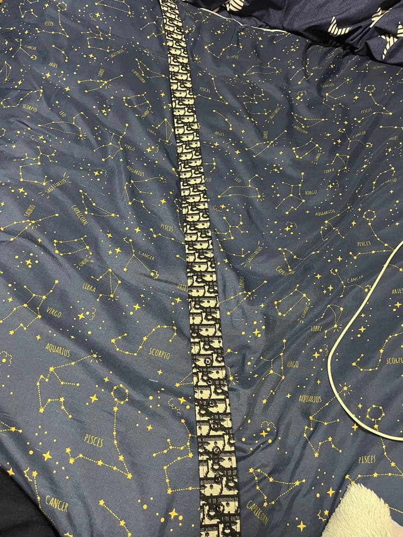 らいさん専用 Dior ロゴ入りレザーベルト 100