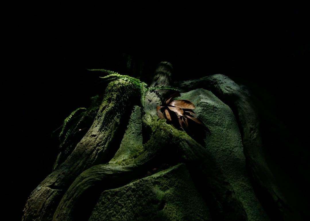 レンズ(ズーム) Carl Zeiss Vario-Sonnar 16-80mm SAL1680Z