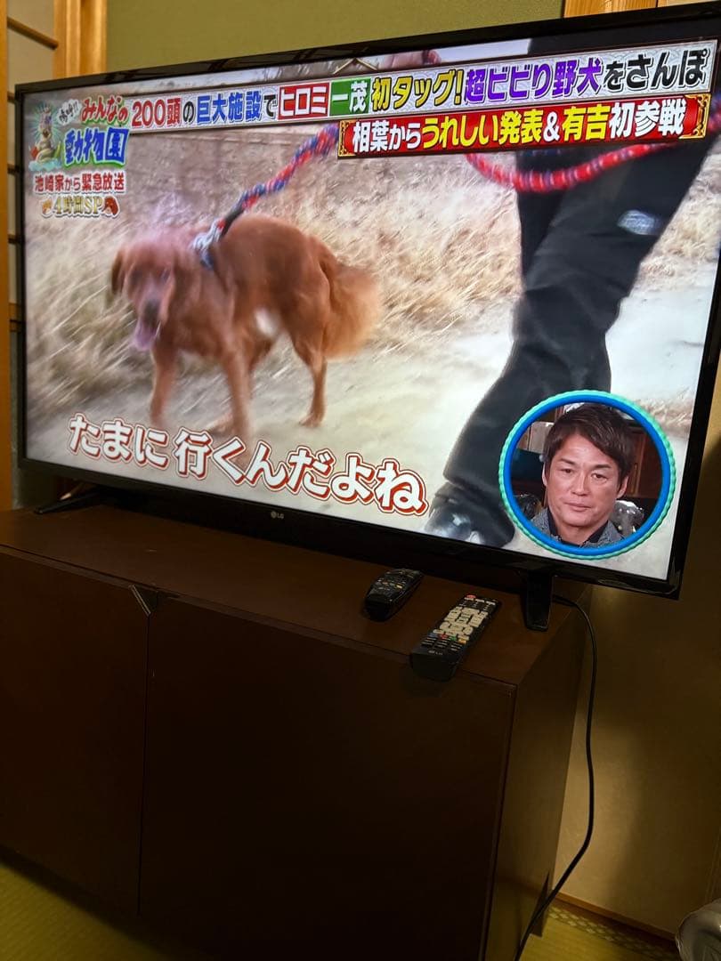 LGUH6100液晶テレビ