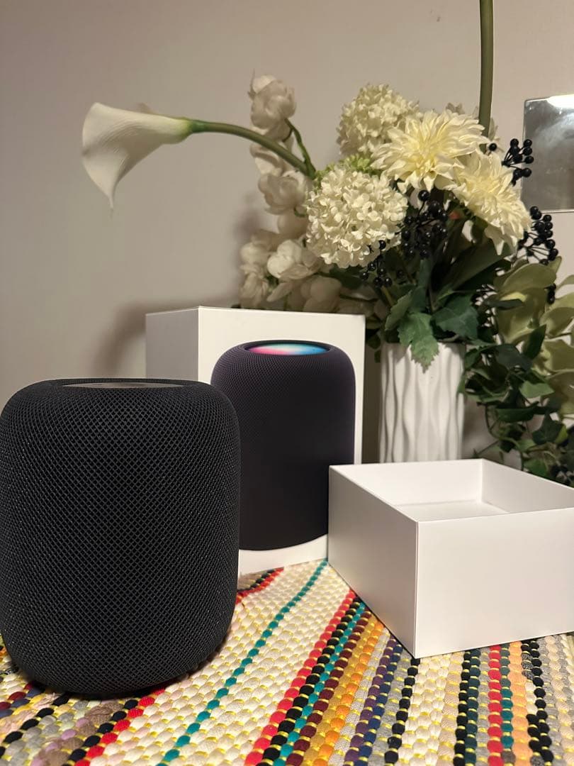 Apple Pod ブラック