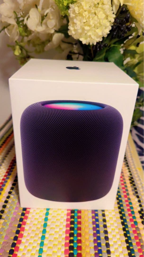 Apple Pod ブラック