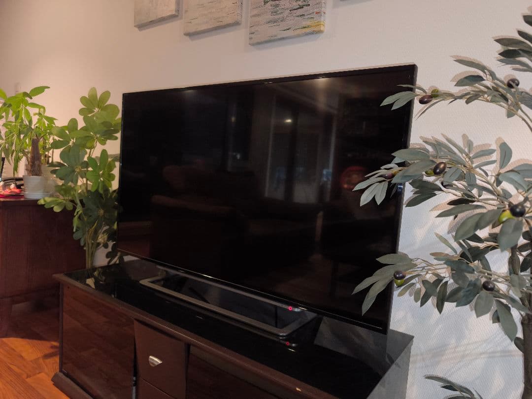 液晶テレビ TOSHIBA REGZA 49G20X 東芝レグザ 49型