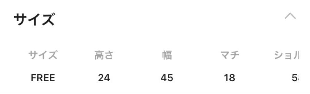 JEANASIS 、Large Boston Bag即買いNG!本日限定価格