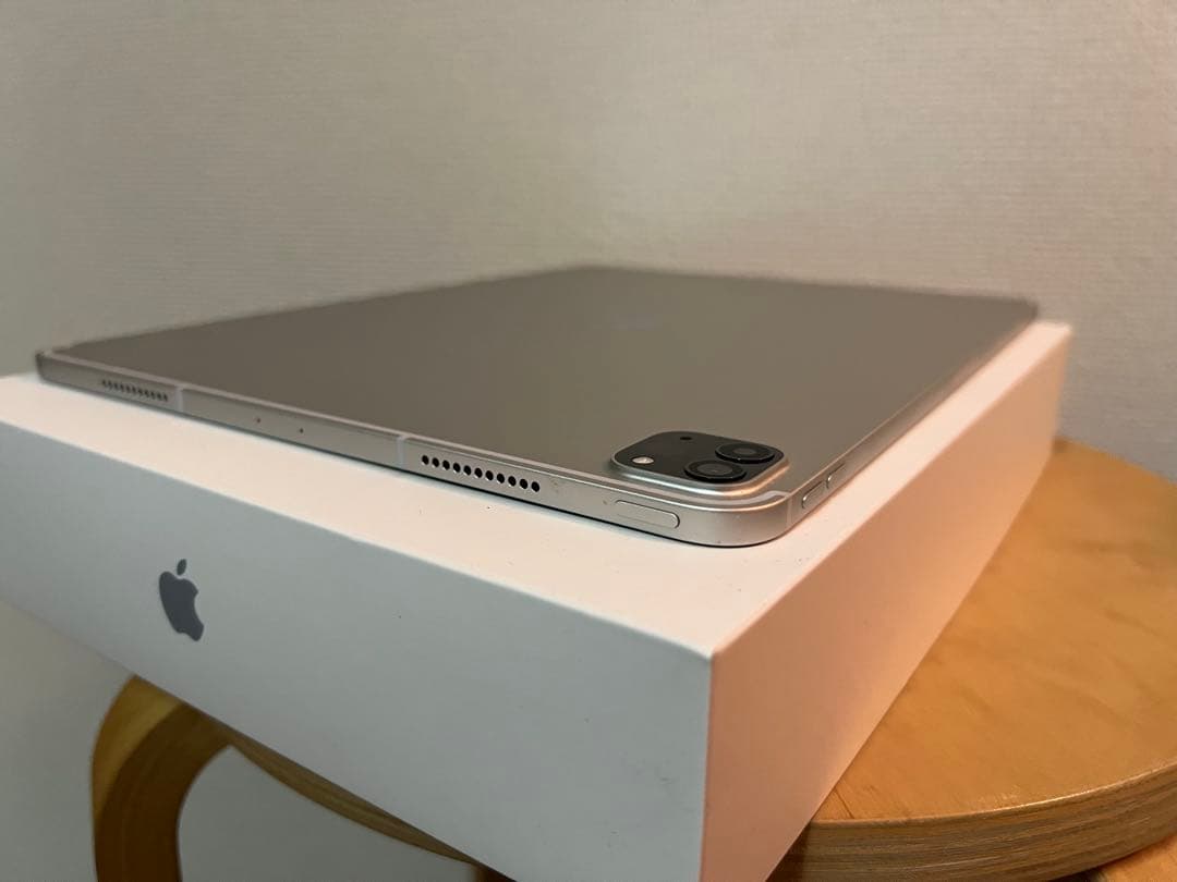 iPad本体 Apple iPad Pro 512GB