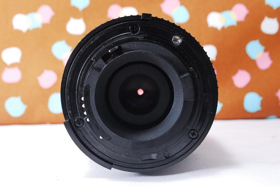 ✨ショット数4601回✨届いてすぐ使える✨Nikon D70s レンズセット