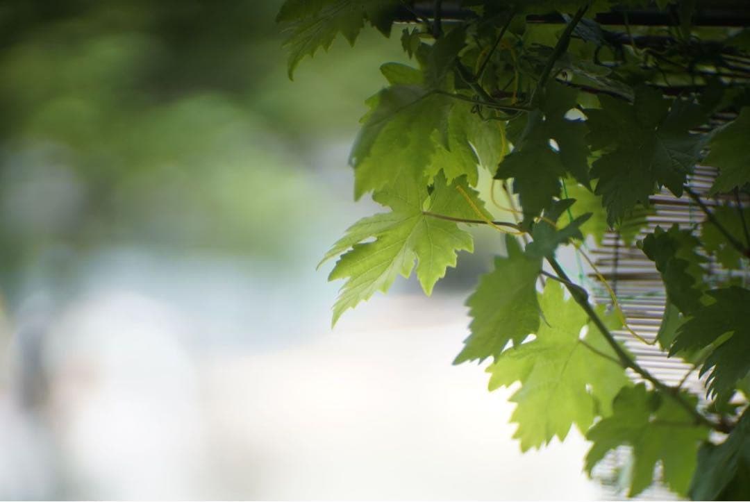 レンズ(単焦点) LOMO KO-140M 100mm f1.8 Petzval 5