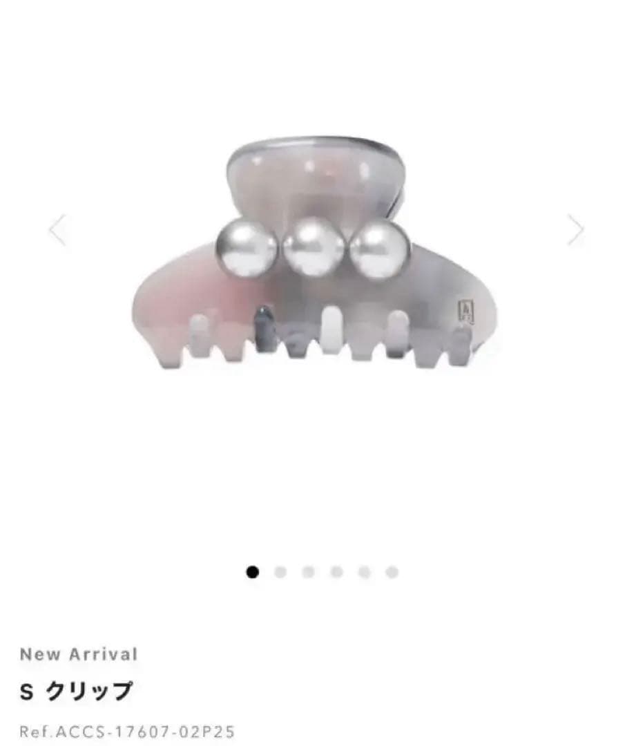 ALEXANDRE DE PARIS S クリップ グレー　2025年春夏　新作