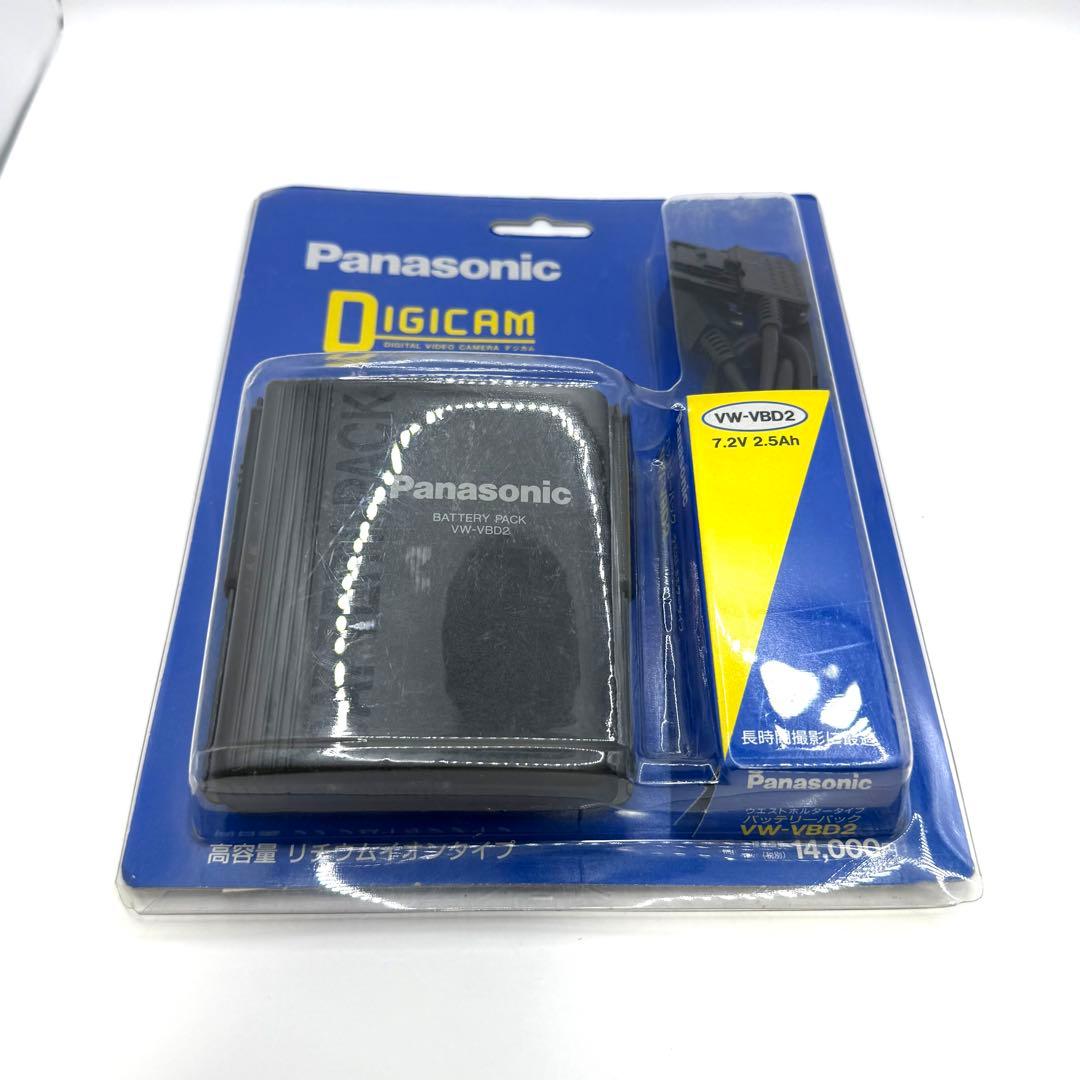 miniDVのダビングに！ Panasonic ビデオカメラ NV-DS5