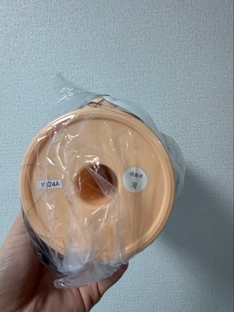 4個 美容師国家試験適合 ユーカリジャパン　24-12-24 カットウィッグ