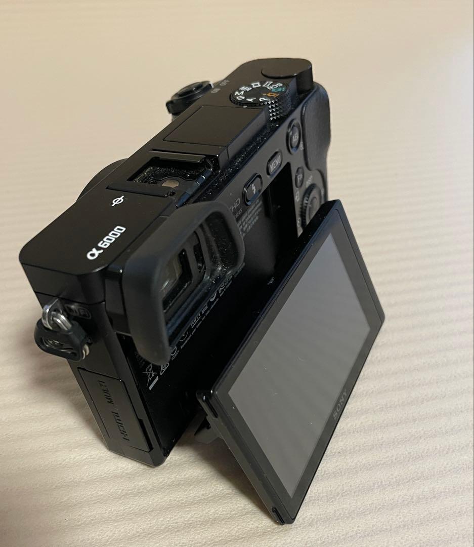 SONY α6000 ILCE-6000 動作確認済【総ショット数1557】