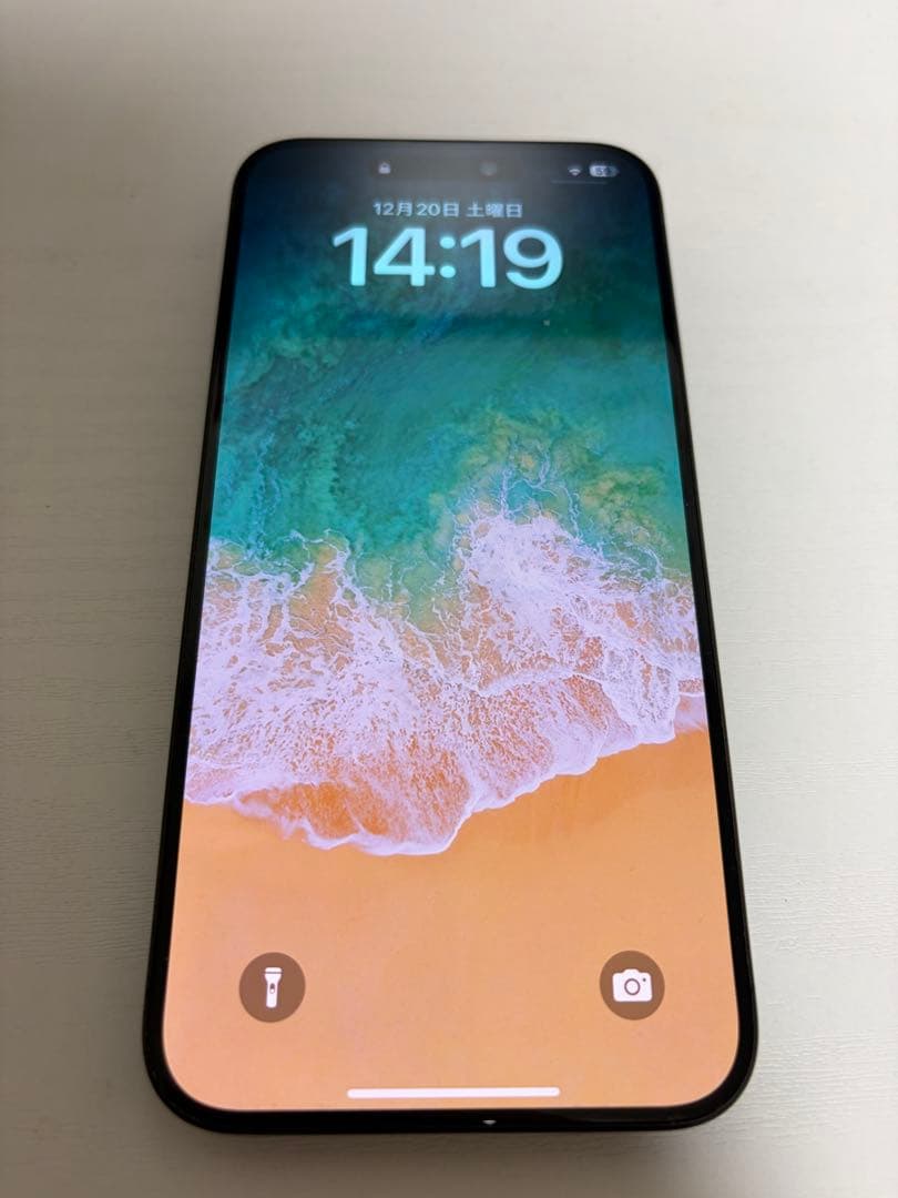 iPhone 15 Pro Max 256GB ◯極美品◯