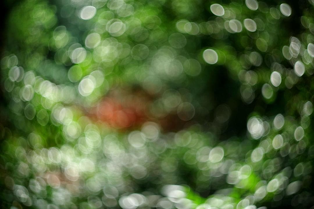 78【希少】初期型　Helios1950年製造　ヘリオス44　アダプター付