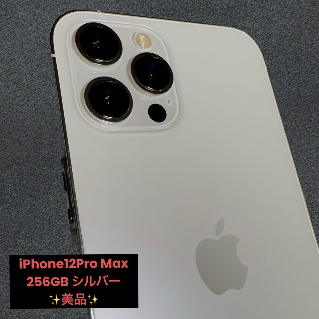 Apple iPhone 12 Pro maxシルバー 本体 おまけ付き