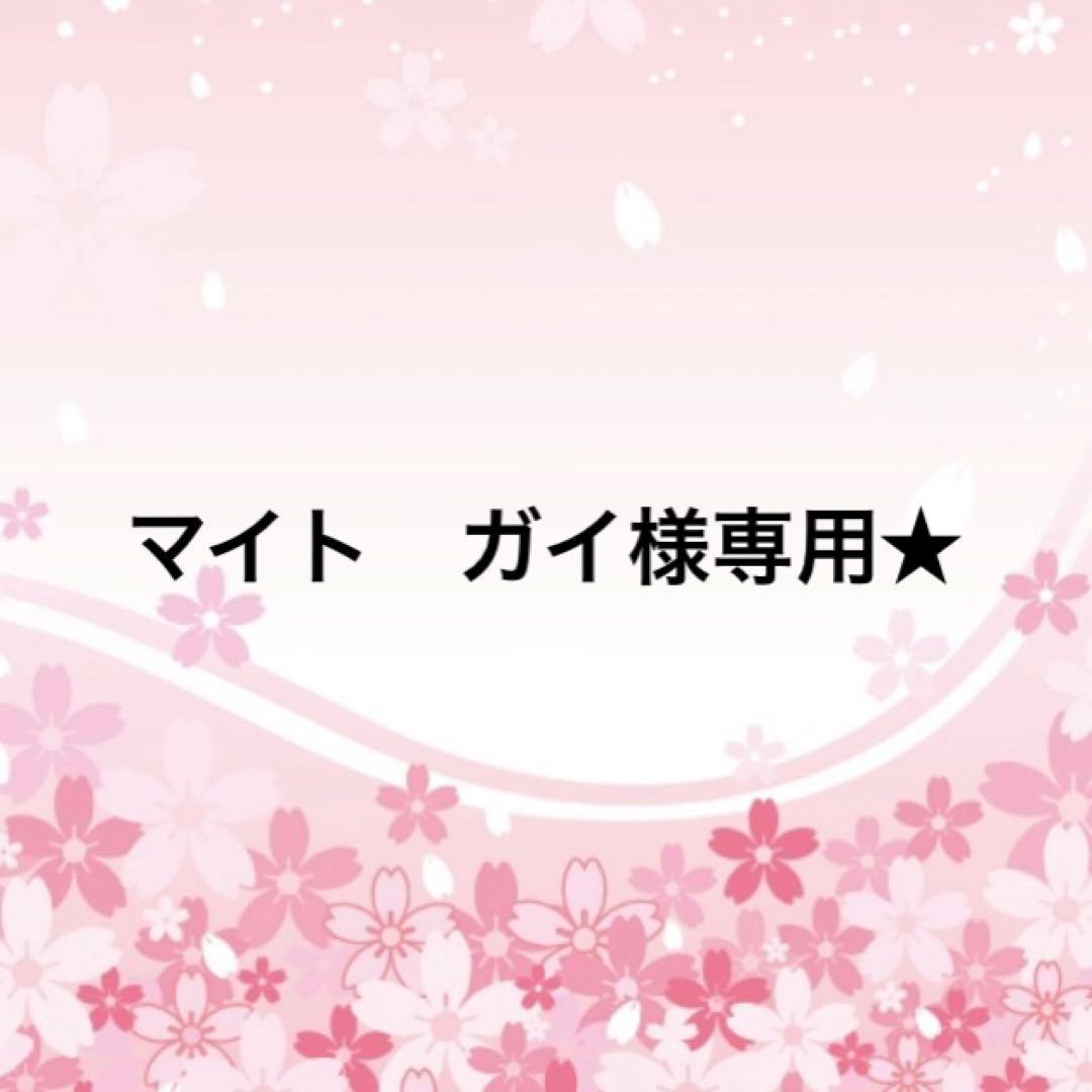 マイト　ガイ★