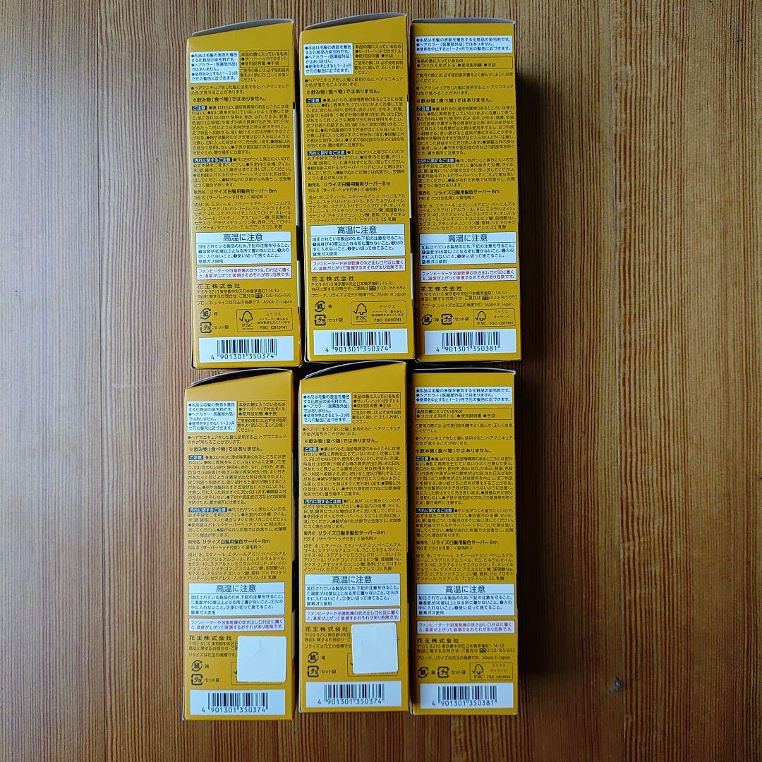 リライズ 白髪用髪色サーバー リ・ブラック まとまり仕上げ 本体 付け替 計6本