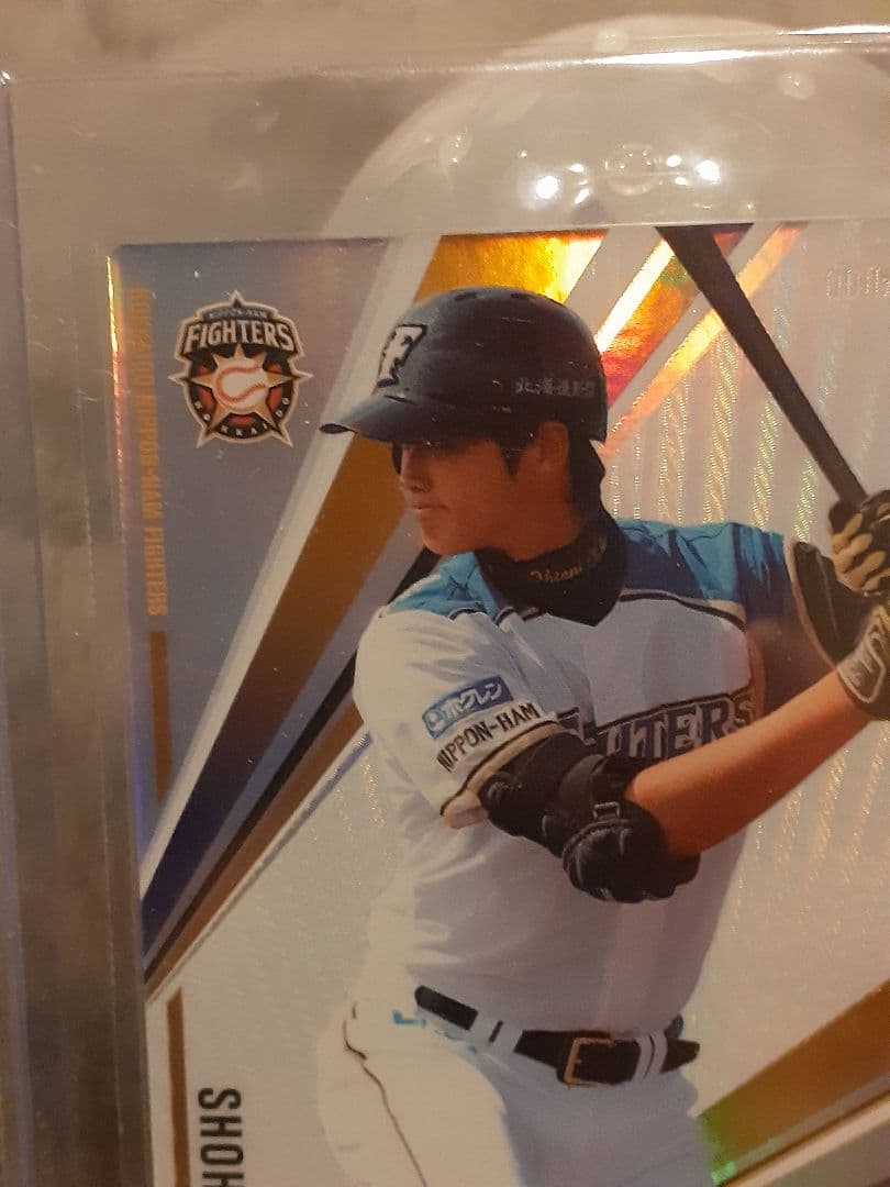 大谷翔平選手　ルーキーカード　2013　オーナーズリーグ　ホロカード【良品】