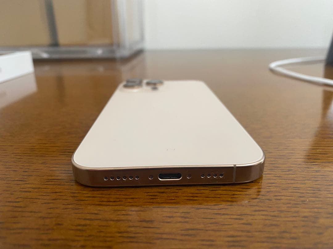 Apple iPhone 16 Pro MAX 256GB 2025年5月品