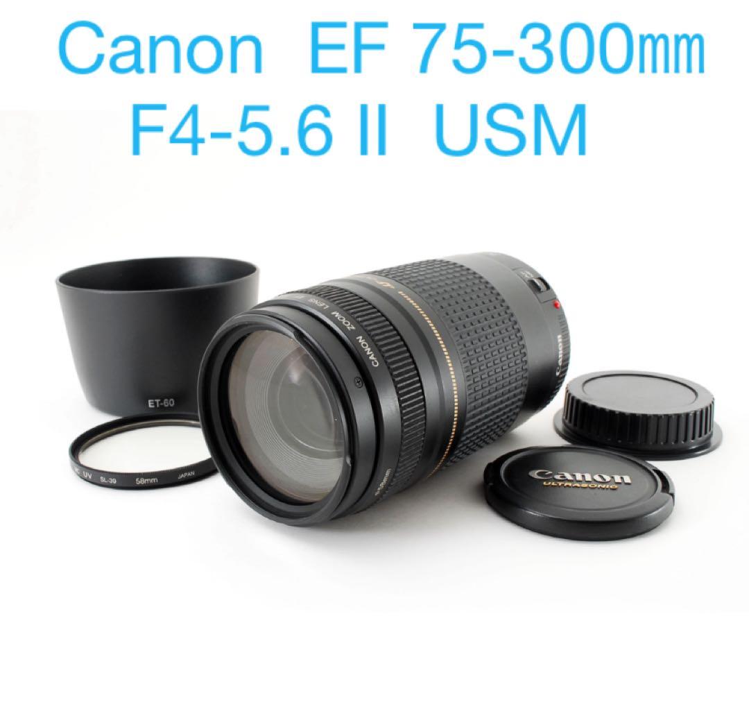 スポーツ/イベント/人気の望遠レンズ/Canon EF75-300㎜