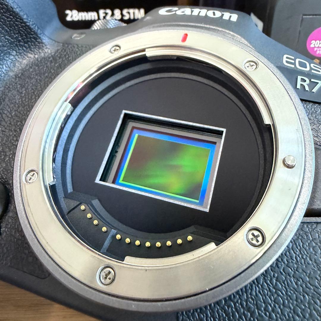 【美品】Canon EOS R7 ミラーレス一眼カメラ